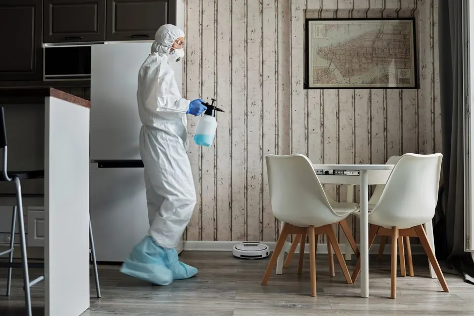 Basement Mold Removal