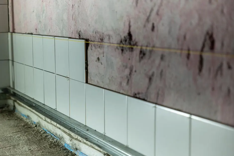 How to identify mold in your Gainesville home