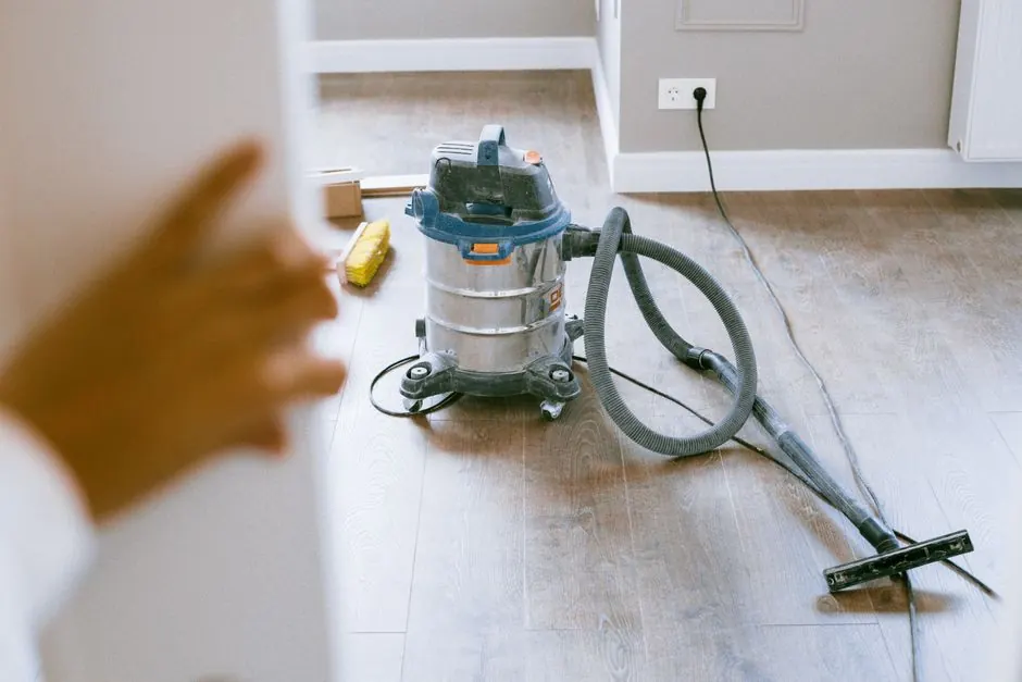 Dependable Mold Removal across Gainesville, Texas