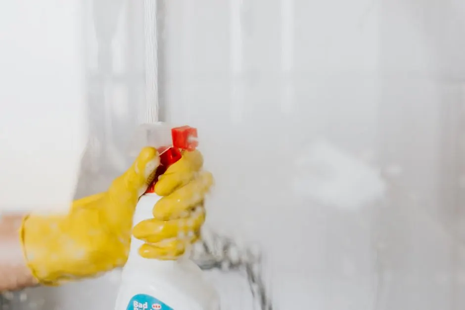 Mold Removal Gainesville Experts technician on site