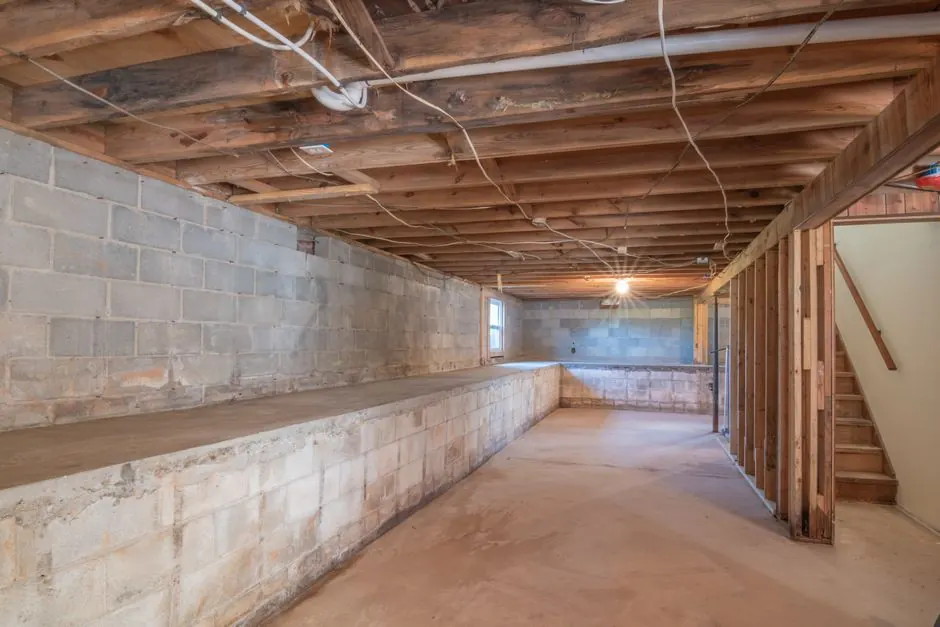 Professional Basement Mold Removal in Gainesville